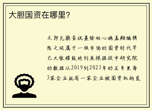 大胆国资在哪里？